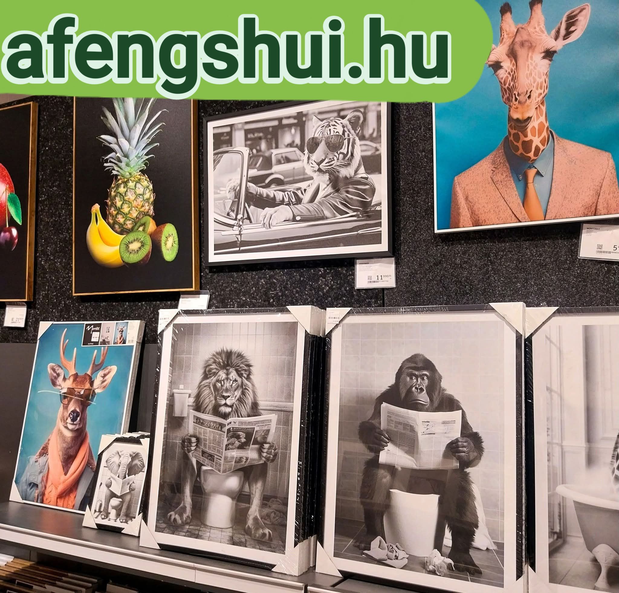 xxxl képek vízjelezve